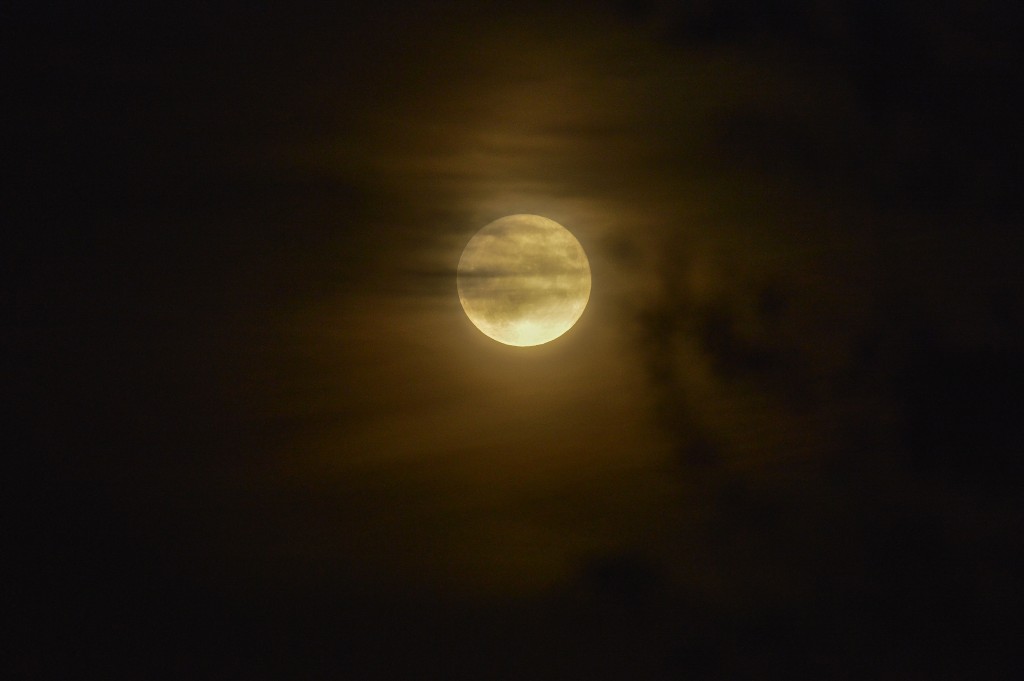 zoom test_5